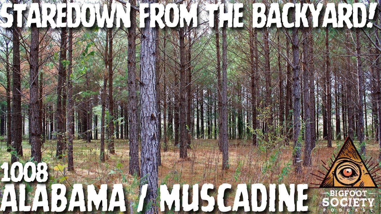 Staredown from the Backyard! | Alabama | Bigfoot Society 1008