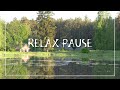 Дом у озера. Лесное озеро. Релакс пауза #relaxing #relax #relaxpause #природа #лес #озеро #домуозера