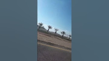 سورة الفاتحة بالمقام اللامي... أحمد النفيس