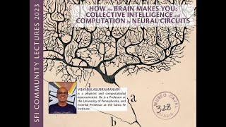 How the Brain Makes You: Collective Intelligence and Computation by Neural Circuits