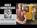 Joseph Baena Body Transformation