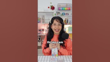 Bút Ngòi Lạ Lùng Mùa Back To School | Happy Hidari