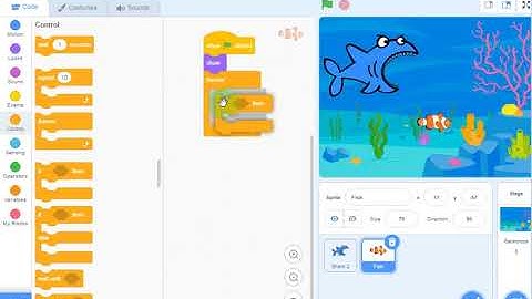 How to play hungry shark on scratch