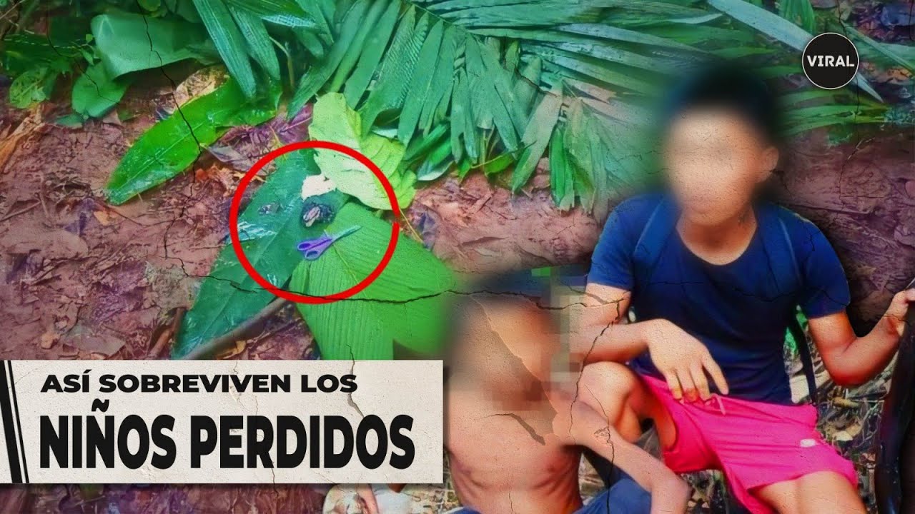 A Esto Se Enfrentan Los Cuatro Niños Perdidos En La Selva Amazónica ...
