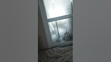 First loop #FirstLoop #YouTubeShorts #LoopVideo