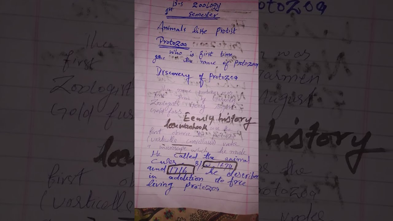 Animal like protists  the protozoan unicellular organisms  qamar rasool bs zoology 