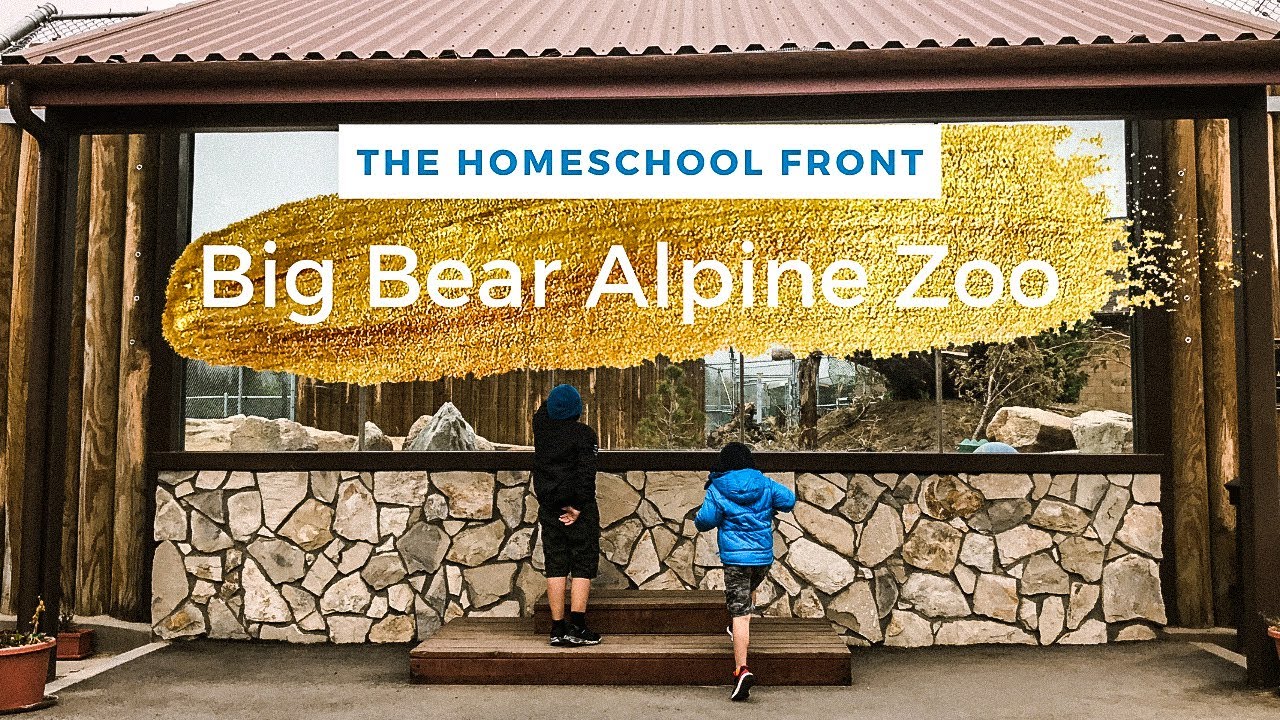 A Fun (And Educational) Day Out At The Big Bear Alpine Zoo YouTube