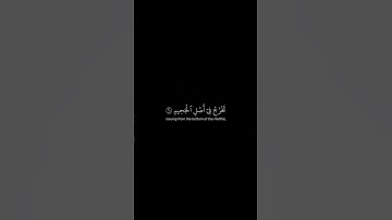 اذكر الله | سورة الصافات الأية62-68 القارئ ياسر الدوسري #quran #اكسبلور