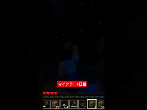マイクラ　1日目＃マイクラ＃マインクラフト＃1日目＃夜＃家ずくり＃家＃ゾンビ　マイクラ＃ゾンビ＃Minecraft＃はじまり＃楽しいジャンクボックス
