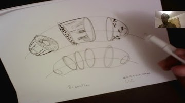 Drawabox Lesson 2 HW Dissections 1