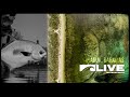 Exploring Further Together | LIVE Watersports (A Community Fly Fishing Trip)