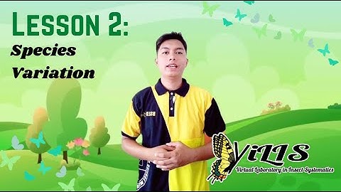 Lesson 2: Species Variation