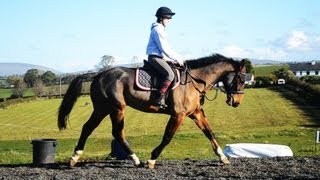 Riding my little Pro - Alfie.