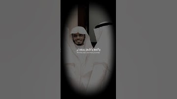 Surah Rahman | Yasser al Dossary | تلاوة رائعة للقارئ ياسر الدوسري