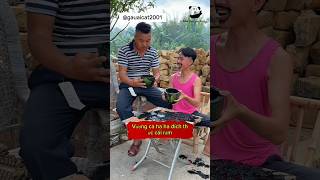 幽默生活视频博客 P6 #funny #haitrungquoc #vlog #mrbeast #binance #gauaicat2001