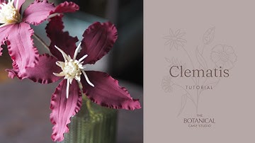 Clematis Sugar Flower Tutorial (Gumpaste / Flower Paste)