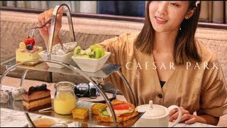 板橋凱撒下午茶| 趣淘漫旅- HOTEL CHAM CHAM TAIPEI