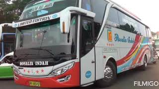 Lily versi bus indonesia ku