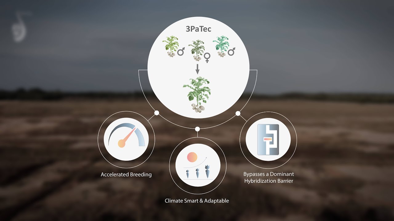 Our Technology | 3PaTec: Resilient crops for the future!