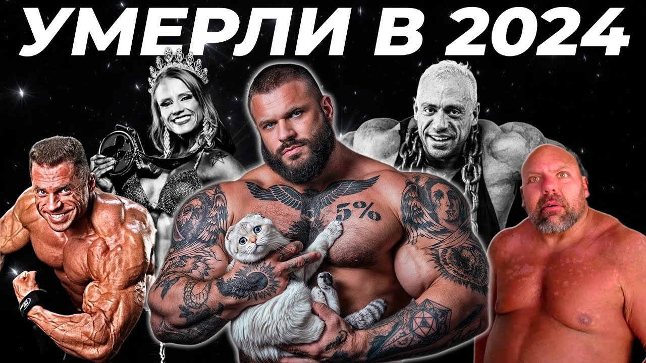 Sustanon ������ �����������: ����.