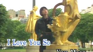 Video thumbnail of "You Mean Every thing To Me karaoke"
