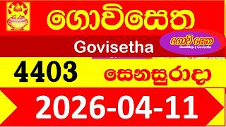 Govisetha 4403 Results 2026.04.11 Today Lottery Nlb අද ගවසත ලතරය පරතඵල Lotherai Dinum