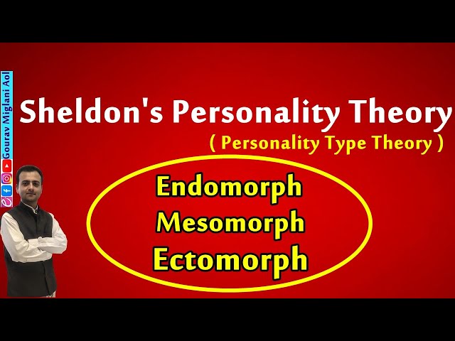 Endomorph, Mesomorph, Ectomorph, Theories of Personality, Personality  Type Theory