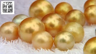 菲律宾巴拉望价值连城的金色珍珠都是人工饲养