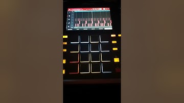 Groovy retrowave drums #akaimpc #akaipro #mpcone #korgprologue16 #asmhydrasynth #hydrasynth #dawless