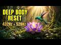 Energy Journey Through The Forest | 528Hz Nervous System & Full Body Healing