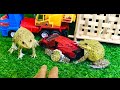 Brave bullfrog/ I said don’t touch my watch/ funny frog