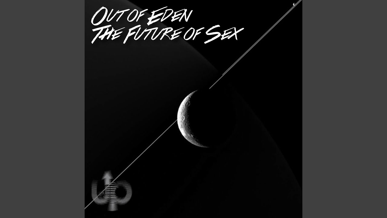 The Future of Sex (Hard Ton Remix)