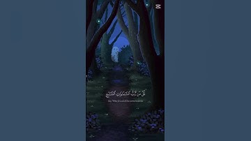 سوره المؤمنون بتلاوه الشيخ ياسر الدوسري🤍 #explore #قران_كريم #سورة_المؤمنون #ياسر_الدوسري