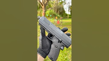 Hi-Point 10mm - a decent gun