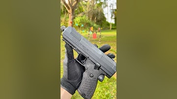 Hi-Point 10mm - a decent gun