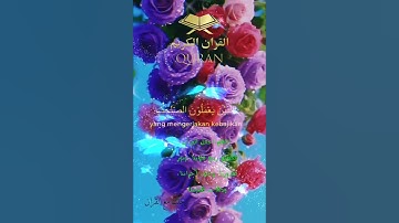 تلاوة خاشعة عطرة مباركة جميلة عذبة للشيخ سعد الغامدي ماتيسر من سورة الكهف