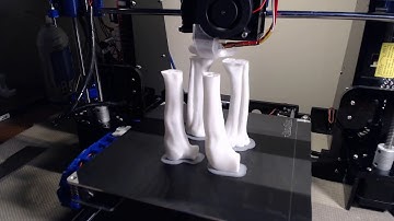 T-Rex Femur and Tibia 3D Print Timelapse