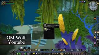 Ausreichende Inspiration | Properly Inspired | WoW Classic Cataclysm