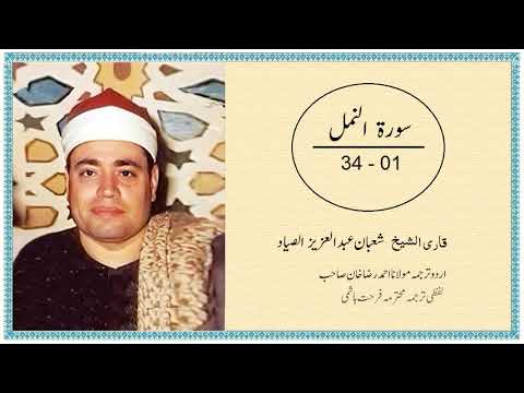 Surah,An Namal,Shaban Abdul Aziz, Sayyad