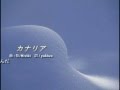 カナリア