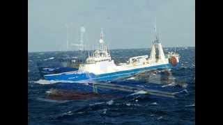 Hochseefischer vor ISLAND ...