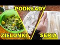 SEPIA NA WAGĘ - GDZIE KUPIĆ | MNISZEK LEKARSKI + SOFTFOOD | ZNIKNEŁY JAJKA U PAPUG! 😱