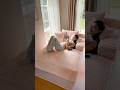 Fluffy Dreamland! Compresse  BedMagic#bed #home #interiordesign #furniture #sofabed #livingroom