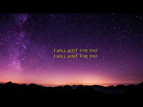 Tom Walker - Wait For You ( Lyrics)