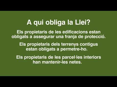 Vídeo: Píndola d’obesitat inventada