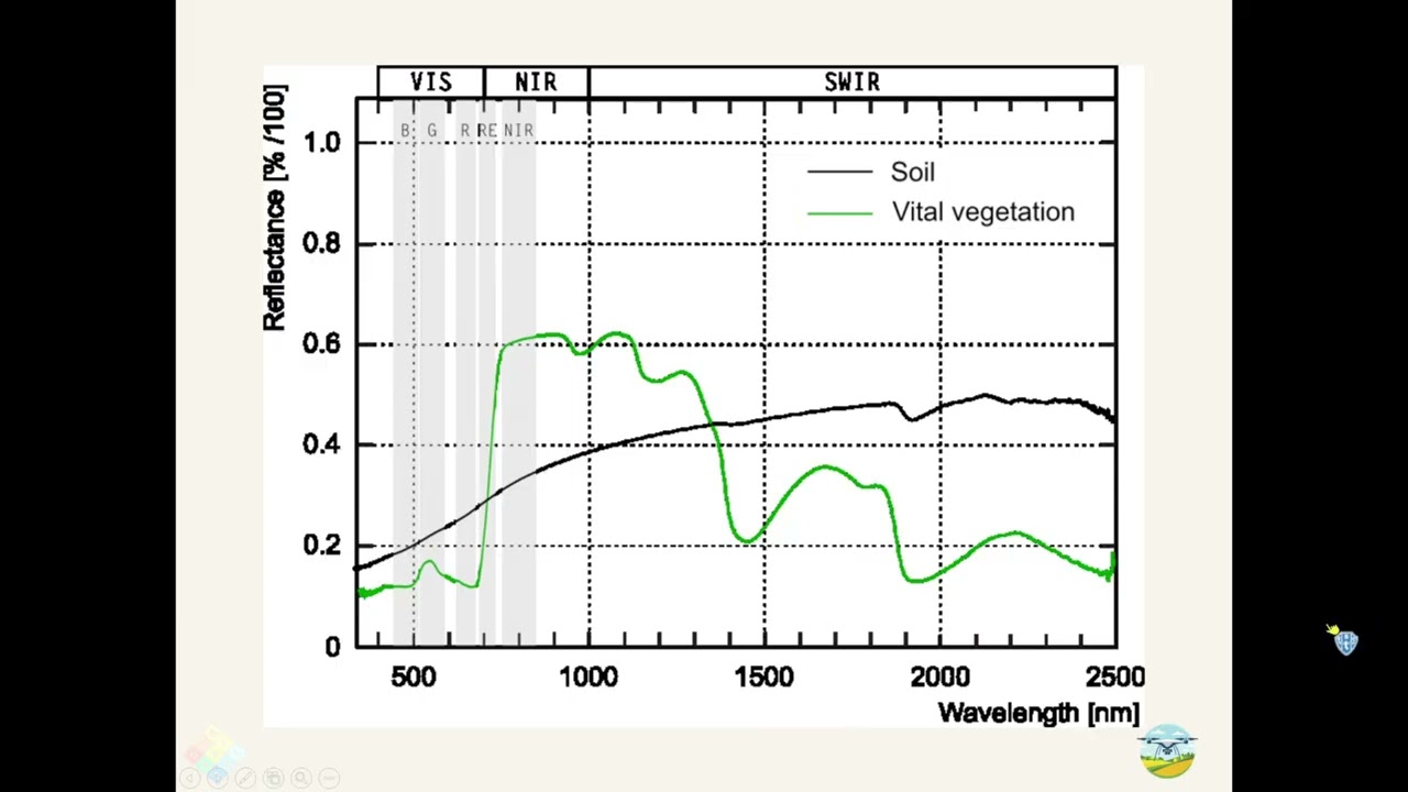 Qgis - PDI - Landsat 9 - NDVI - Interpolação