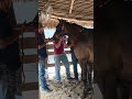 #somoscarrilesdelazona