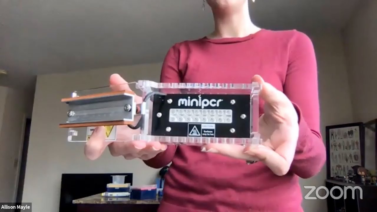 DNA Barcoding Part II: PCR and Gel Electrophoresis