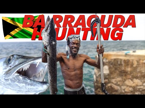 Monster Hunter: Spearfishing for a Giant Barracuda in Jamaica