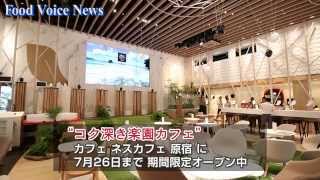 ネスレ日本「原宿に癒しの西表島 コク深き楽園カフェ」